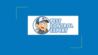 Affordable Pest Control Services - Pest Control Expert