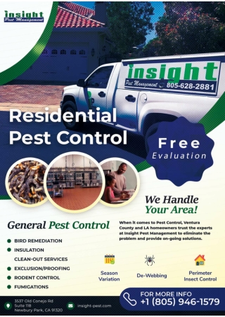 Ant Control Ventura | Bedbug Control Ventura