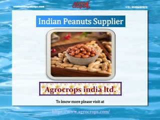 Know About Indian Peanuts Supplier