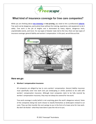 What kind of insurance coverage for tree care companies?