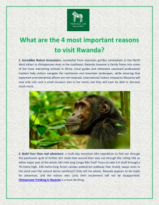 What are the important reasons for Chimpanzee Trekking in Rwanda