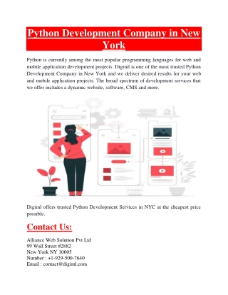 Python Development Company in New York