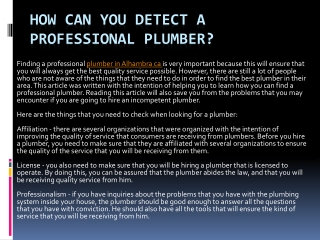 How Can You Detect a Professional Plumber?