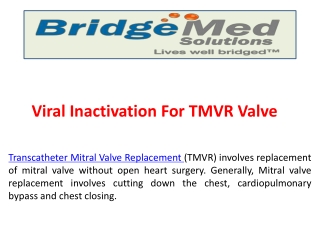 Viral Inactivation For TMVR Valve