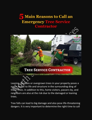 5 Main Reasons to Call an Emergency Tree Service Contractor