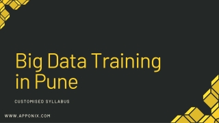 Big Data Training in Pune