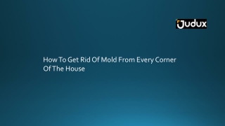 How To Get Rid Of Mold From Every Corner Of The House