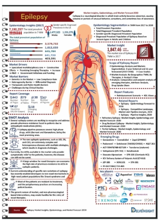 Epilepsy Market