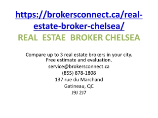 REAL  ESTAE  BROKER CHELSEA