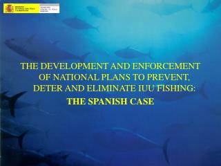 THE DEVELOPMENT AND ENFORCEMENT OF NATIONAL PLANS TO PREVENT, DETER AND ELIMINATE IUU FISHING: THE SPANISH CASE