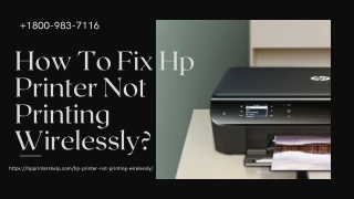 Hp Printer Not Printing Wirelessly 1-8009837116 Hp Printer Not Printing Anything?