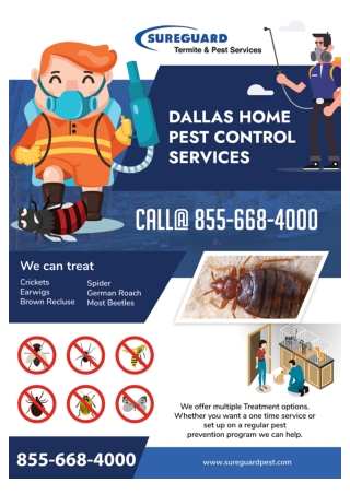 Dallas Wildlife Control | Dallas Spider Control,