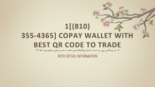 !!1[(810) 355-4365]!! Copay wallet with best QR code to trade