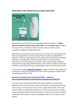 Global Water Filter Market Research Report 2021-2025