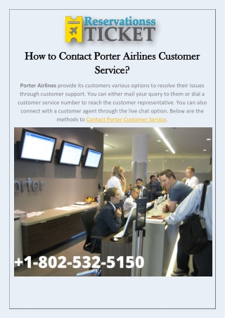 How to Contact Porter Airlines Customer Service?