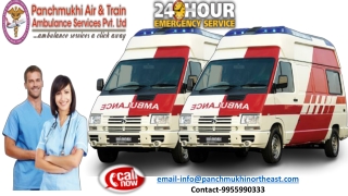 Obtain the Medically Equipped Ambulance Service in Naharlagun with Vital Treatment