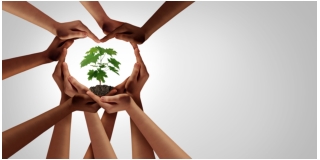 Environmental Earth Summit Replace