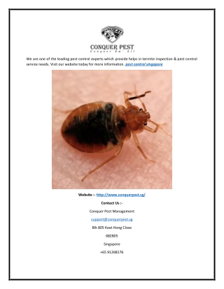 Pest Control Singapore | Conquer Pest