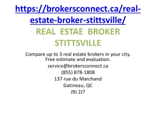 REAL  ESTAE  BROKER STITTSVILLE