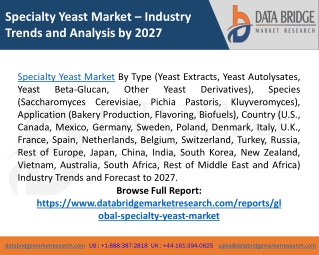 Specialty Yeast Market Growth, Analysis, Size and Forecast 2027