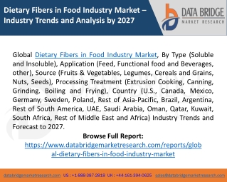 Dietary Fibers in Food Industry Market Research Reports, Growth, Analysis and Forecast 2027