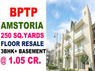 Bptp Amstoria 250 Sq.yards Floor 3 BHK  Basement 1.10 Cr. Sector 102 Gurgaon