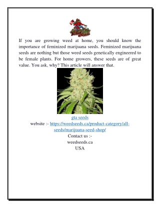 Buy Marijuana Seeds | Weedseeds.ca