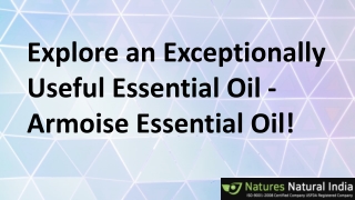 Explore an Exceptionally Useful Essential Oil - Armoise Essential Oil!