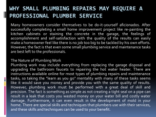 Why Small Plumbing Repairs May Require a Professional Plumber Service