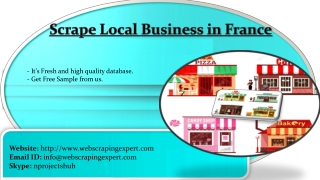 Scrape Local Business in France