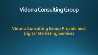 Vidorra Consulting Group Provide best Digital Marketing Services