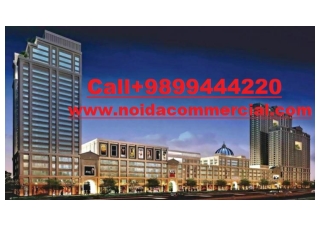 Buy Commercial Food Courts in Spectrum Metro Noida