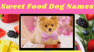 Top 20 Sweet Food Dog Names 2020 ! Cute Puppy Names ! Unique Dog Names