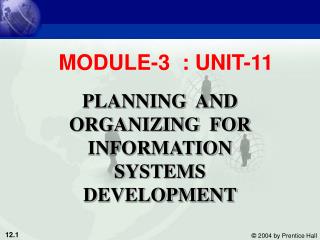 PLANNING AND ORGANIZING FOR INFORMATION SYSTEMS DEVELOPMENT