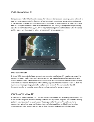 What Is A Laptop Without OS?
