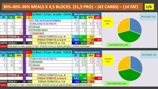 DIET MEALS X 4,5 BLOCKS