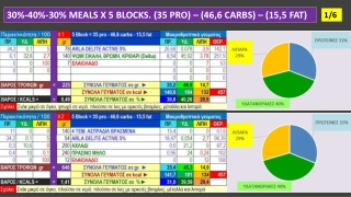 DIET MEALS X 5 BLOCKS