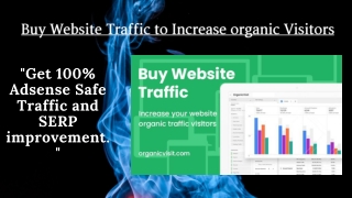 Buy Website Traffic – Website Traffic Booster Services