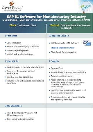 SAP B1 Software for Manufacturing Industry