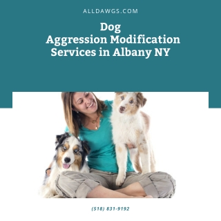 Dog Aggression Modification Services in Albany NY