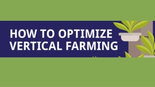 How To Optimize Vertical Farming