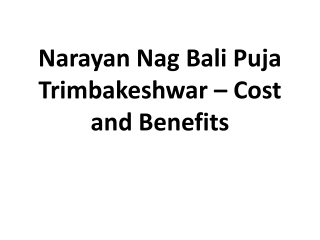 Narayan Nag Bali Puja Trimbakeshwar – Cost and Benefits