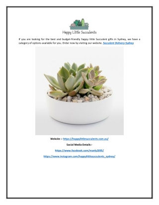 Succulent Delivery Sydney | Happylittlesucculents.com.au