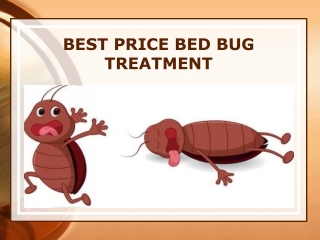 Kill the bed bugs from root with our treatment at Chicago