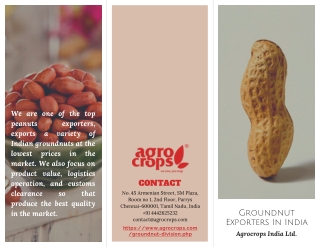 Top Groundnut Exporters In India For You