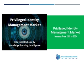 Industrial Outlook of Privileged Identity Management Market