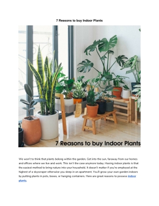 7 Reasons to buy Indoor Plants