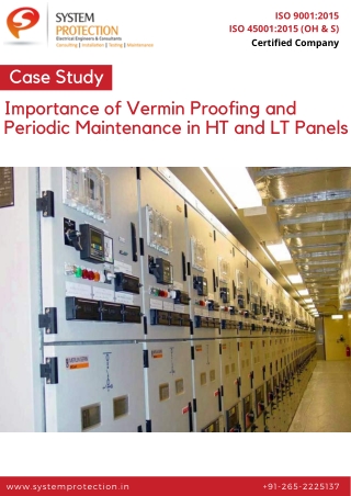 Importance of Vermin Proofing and Periodic Maintenance in HT and LT Panels