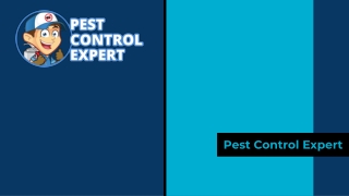 Best Pest Control & Exterminator Services