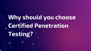 Penetration Testing.